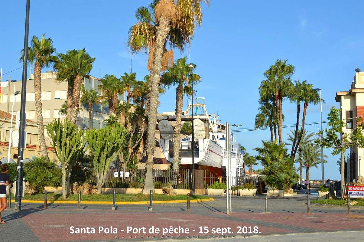 11 SANTA POLA PORT DE PECHE (19).JPG